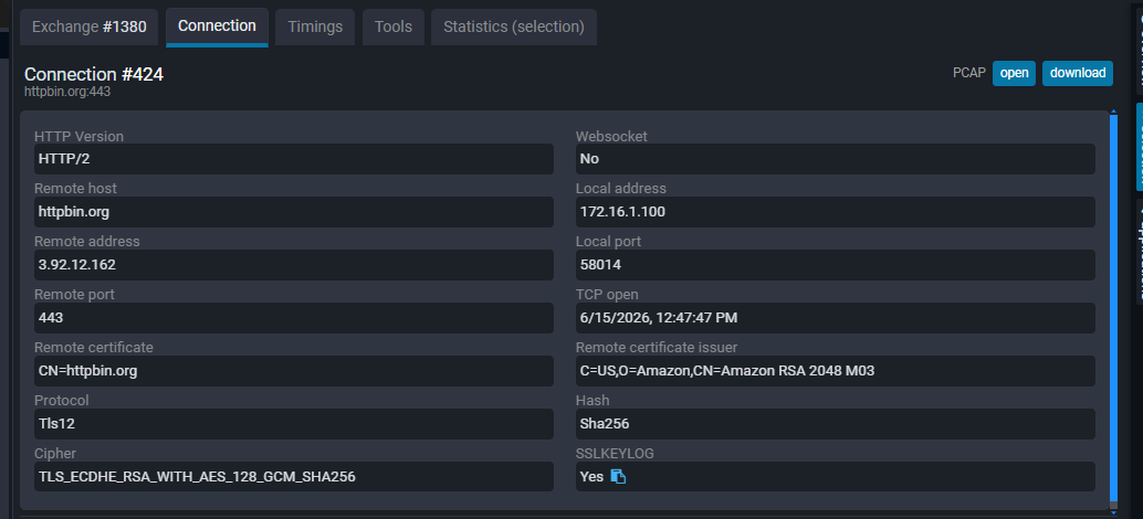 Connection details: HTTP version, IP addresses, ports, certificate and TLS cipher