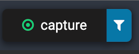 Capture button