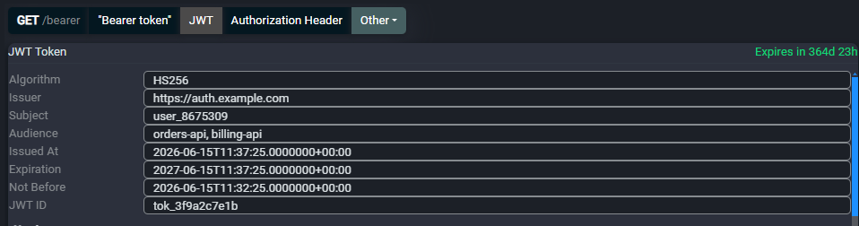 Fluxzy JWT view showing the decoded claims of a Bearer token